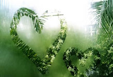 精湛技巧，強勁體能，球場風起雲湧，熱血激昂！