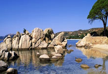 尤文图斯力克强敌，欧冠夺冠前景一片光明