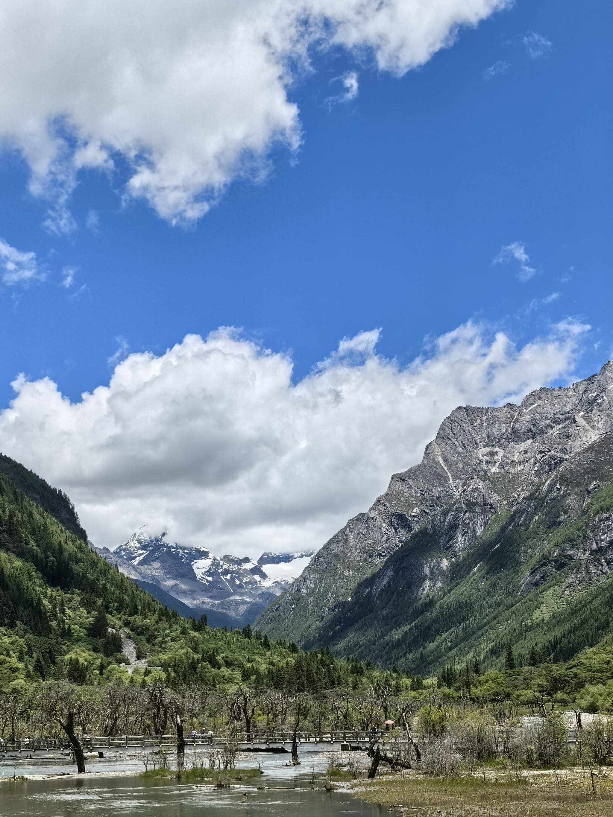 切尔西客场压哨得胜,欧冠首战艰难但成功 切尔西客场压哨得胜,欧冠首战艰难但成功