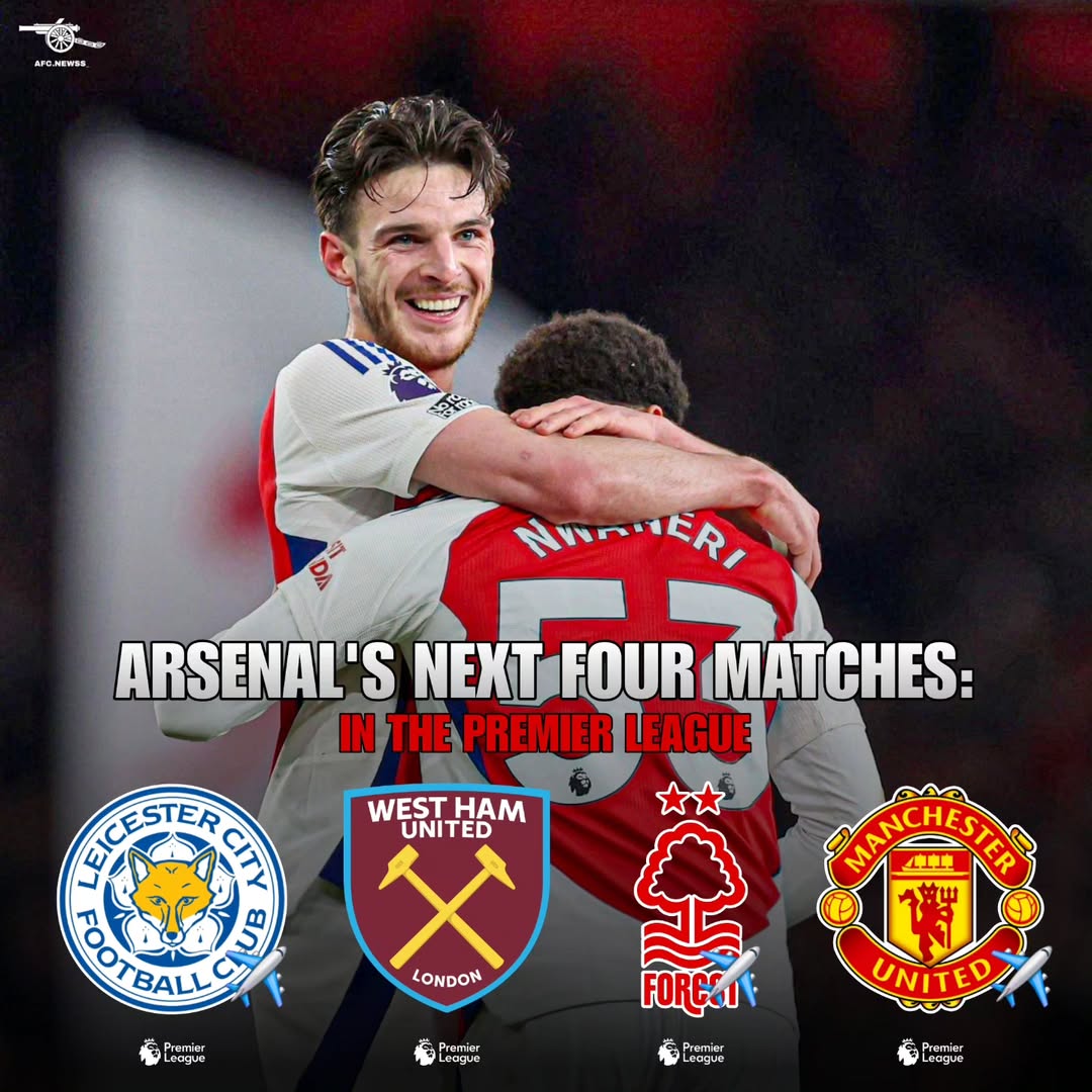 开云体育入口-阿森纳苦战告捷，英超夺冠成熟又温馨的简单介绍