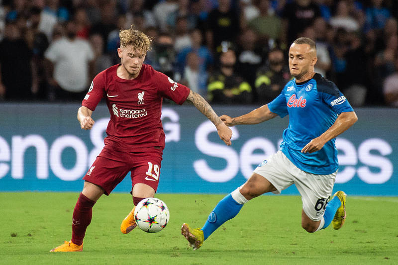 开云体育官方登录入口-包含意大利战平，小组头名之争更添悬念的词条