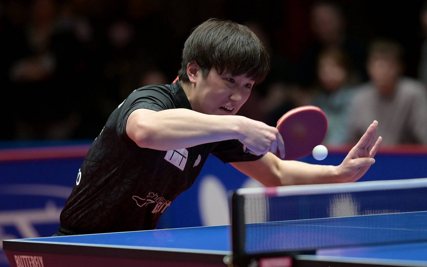 包含沈阳东亚球迷狂欢，球队实力不俗的词条